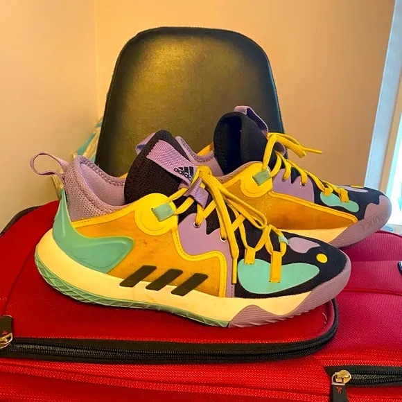 James Harden Adidas Bounce multi-colored Art series “21” lowtop basketball shoes